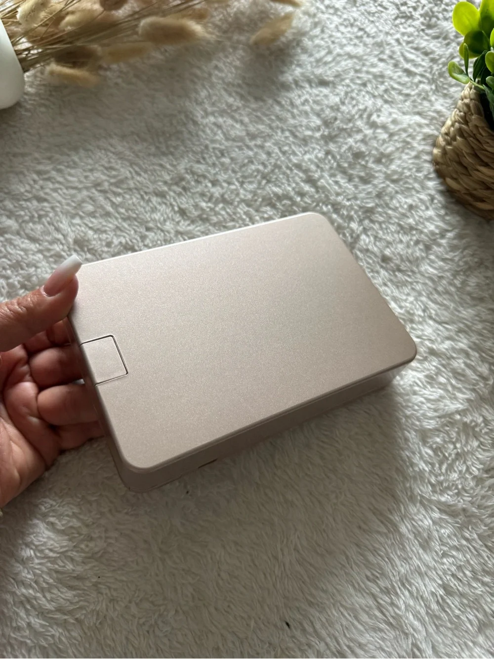 Blush Pink Portable Storage Case with Matching Brush Set